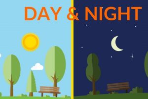 Best Time to Study- Day or Night?