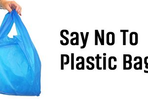 Say no to Plastic Bags