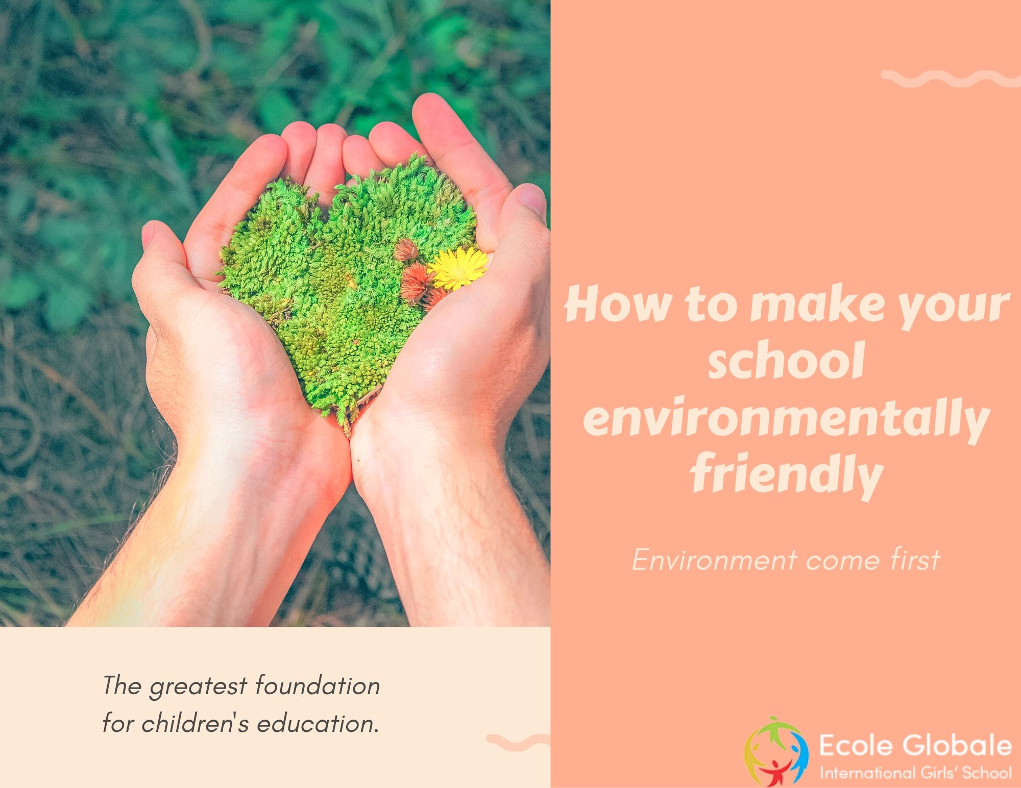How to make your school environment-friendly