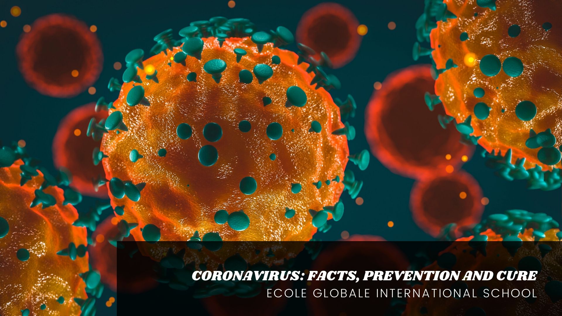 You are currently viewing CORONAVIRUS: FACTS, PREVENTION AND CURE