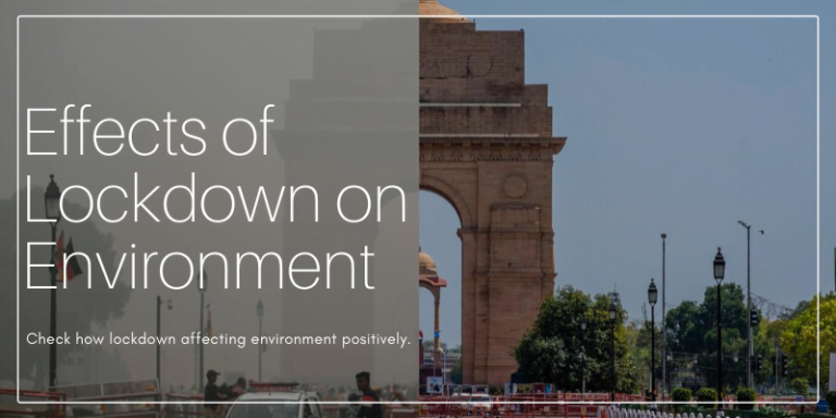Effects Of Lockdown On Environment - Ecole Globale