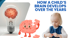 HOW A CHILD’S BRAIN DEVELOPS OVER THE YEARS