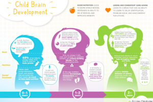 HOW A CHILD’S BRAIN DEVELOPS OVER THE YEARS