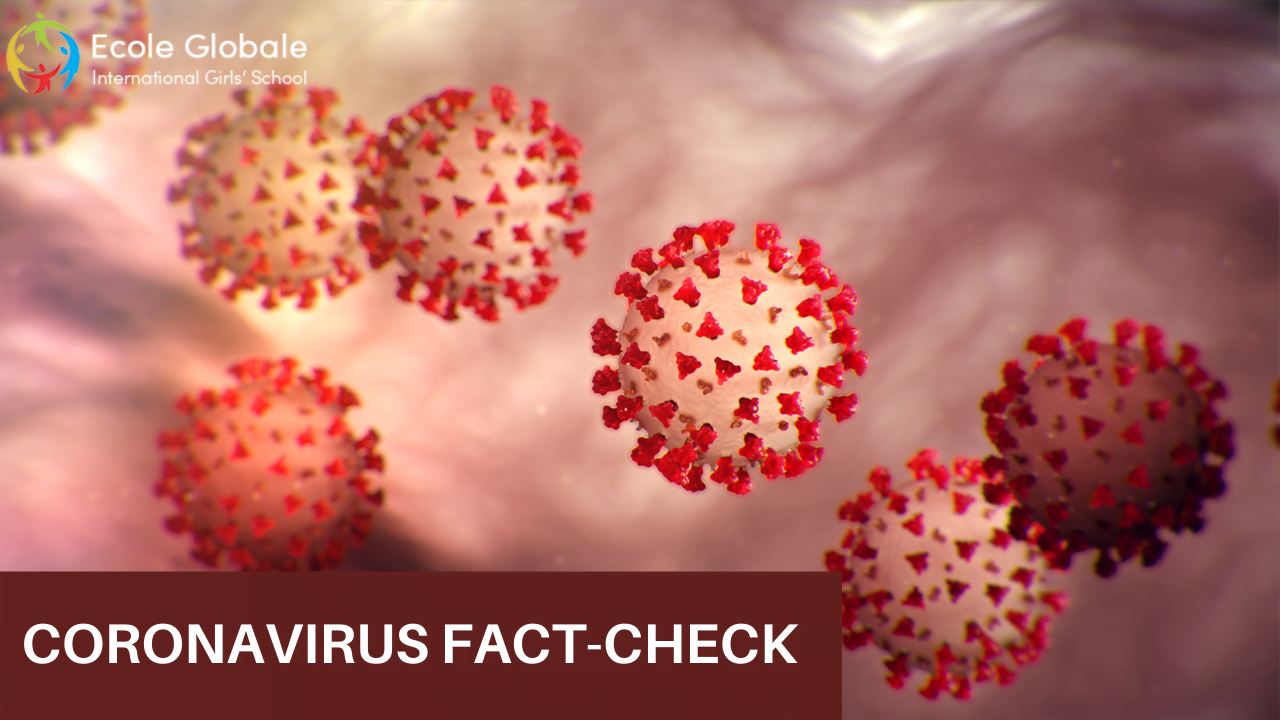You are currently viewing CORONAVIRUS FACT-CHECK: NO EVIDENCE OF A SECOND WAVE, WE ARE AMIDST ‘ONE BIG WAVE’
