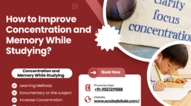 How to Improve Concentration and Memory While Studying?