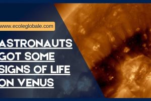 ASTRONAUTS GOT SOME SIGNS OF LIFE ON VENUS