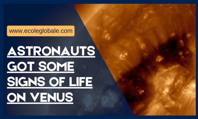 You are currently viewing ASTRONAUTS GOT SOME SIGNS OF LIFE ON VENUS