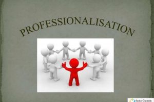 What is Professionalization, and why is it important?