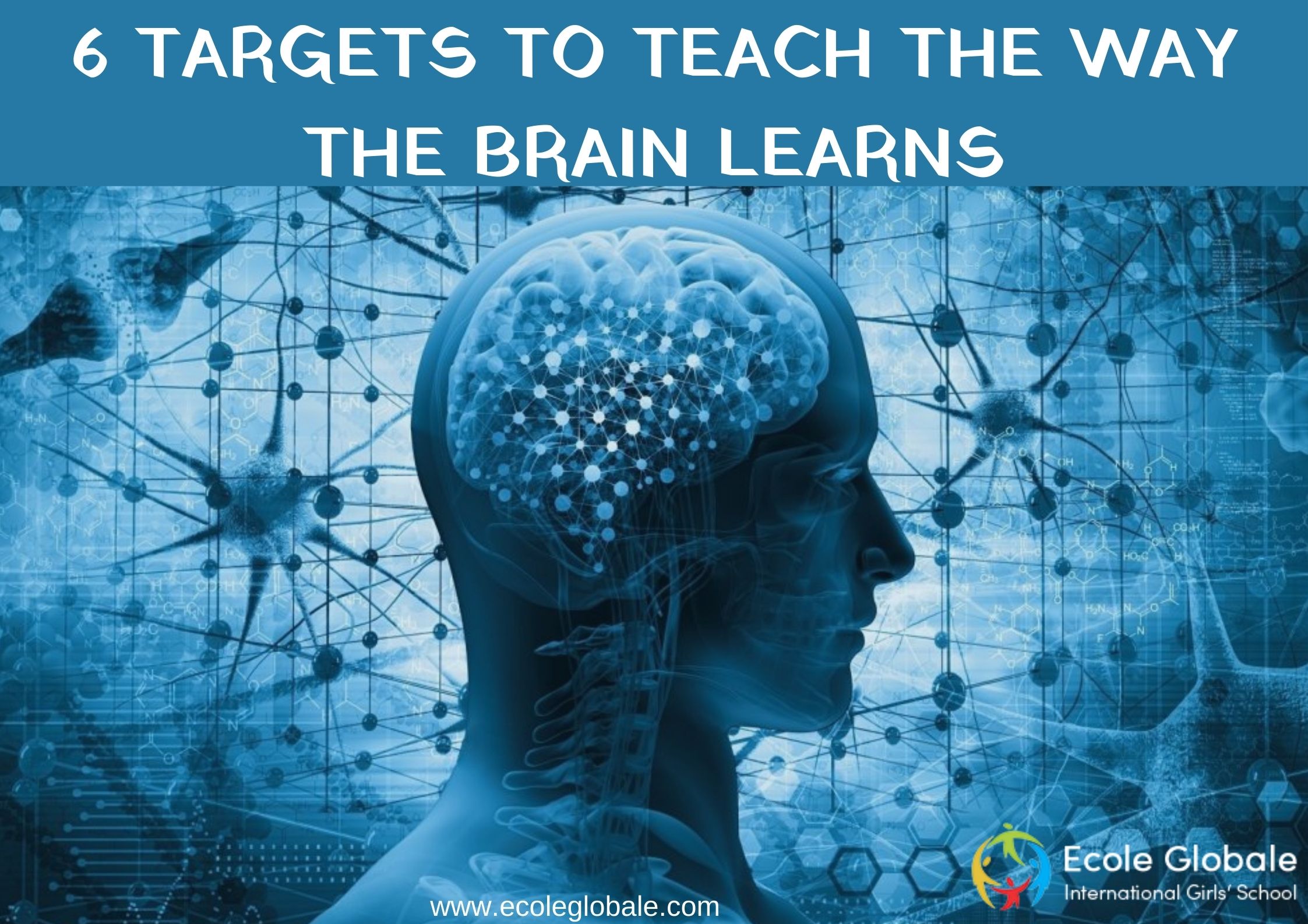 6 TARGETS TO TEACH THE WAY THE BRAIN LEARNS