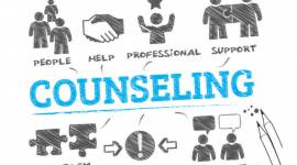 Role of career counselling in the education system