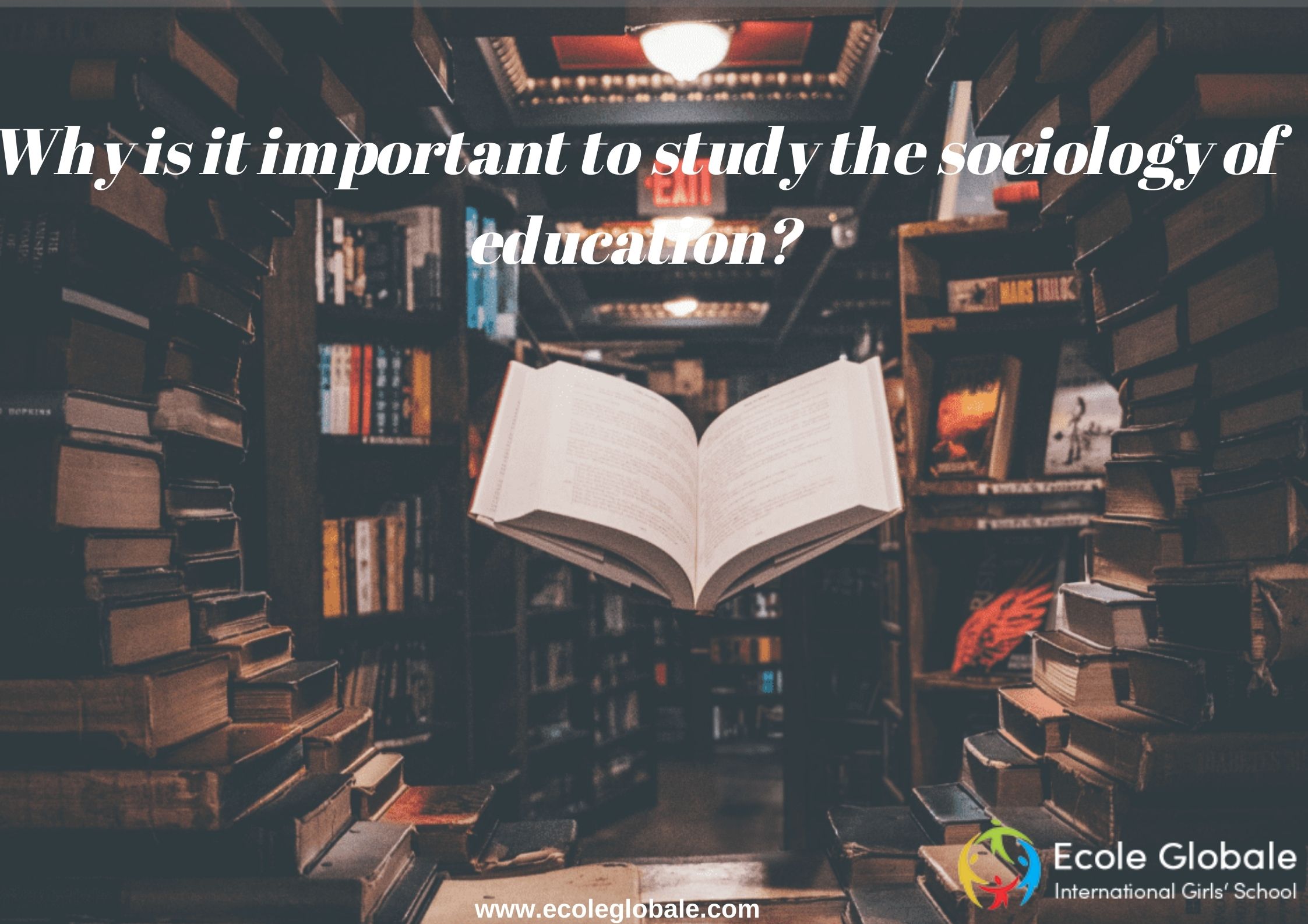 You are currently viewing Why is it important to study the sociology of education?