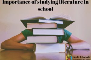 What is the importance of studying literature in school?