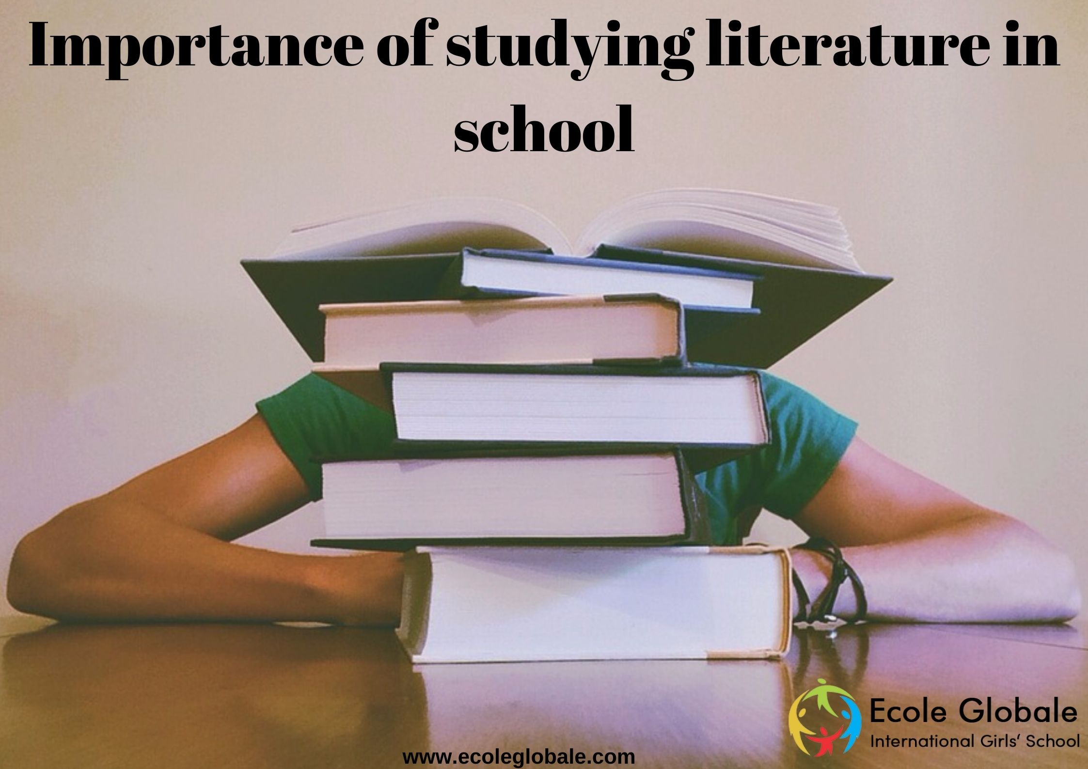 What is the importance of studying literature in school?