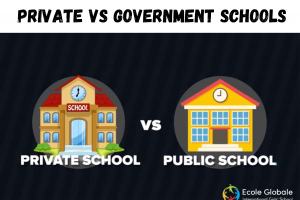 Difference between private and government schools in India?