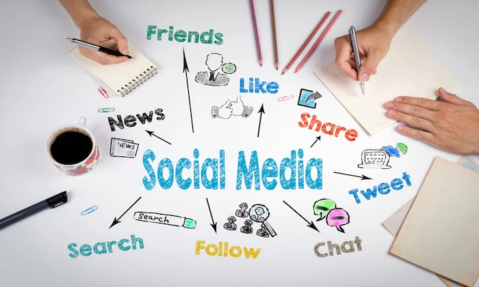 Harmful Effects of Fake Social Media News