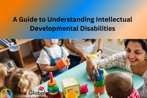 A Guide to Understanding Intellectual Developmental Disabilities
