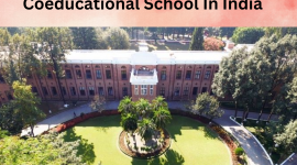 What are the Coeducational School In India?