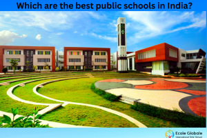 Which are the best public schools in India?