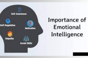 The Importance Of Emotional Intelligence In Education