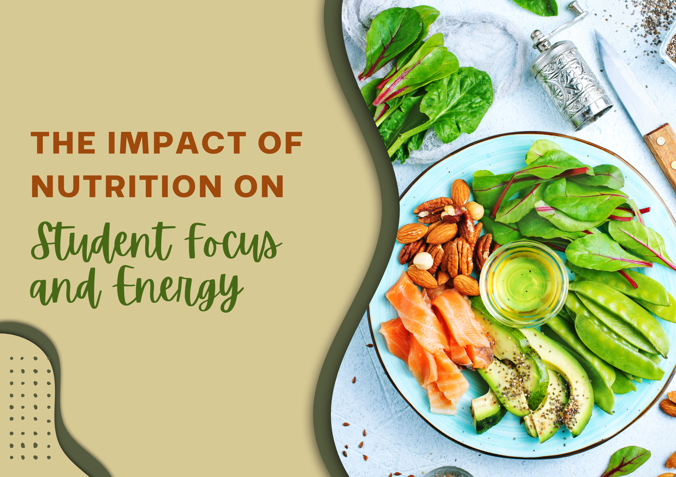 You are currently viewing The Impact of Nutrition on Student Focus and Energy