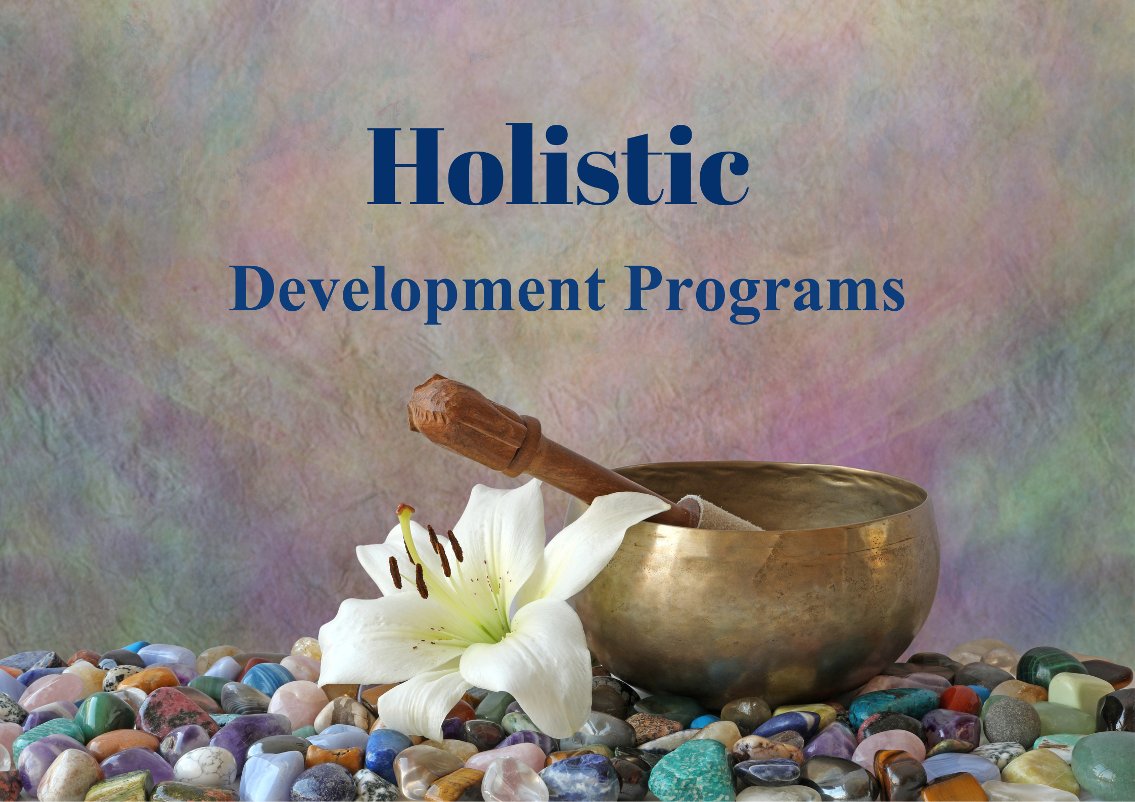 Holistic Education for Education and Successful Careers