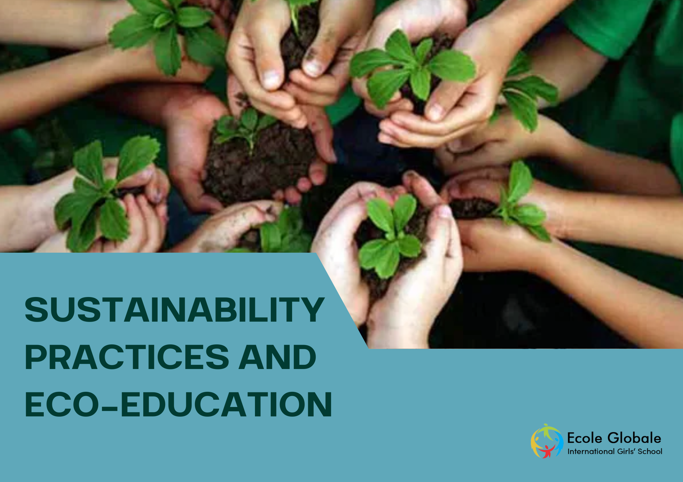 You are currently viewing Green Futures: Sustainability Practices and Eco-Education at Ecole Globale