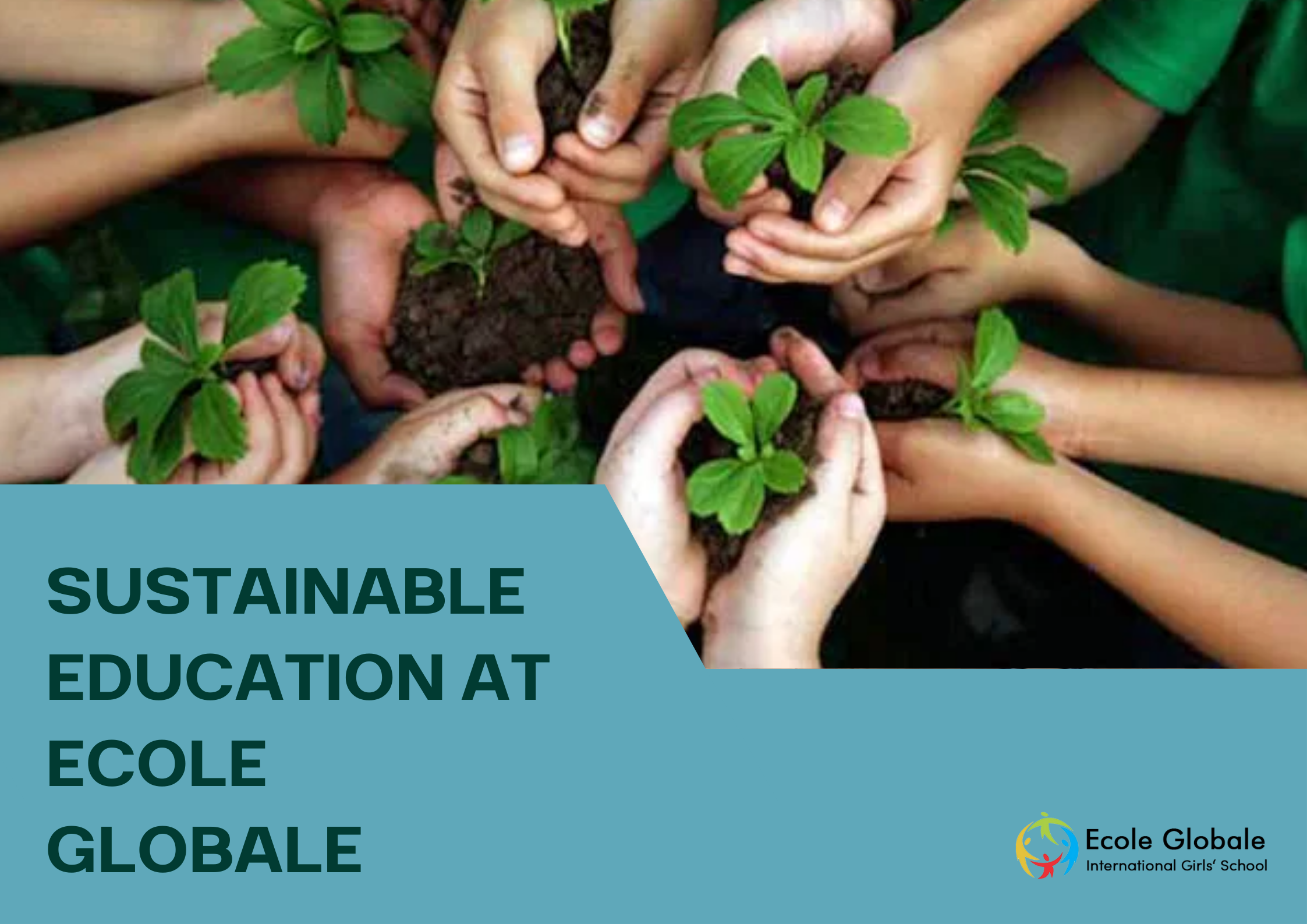 You are currently viewing Sustainable Education: Ecole Globale’s Commitment to Environmental Awareness