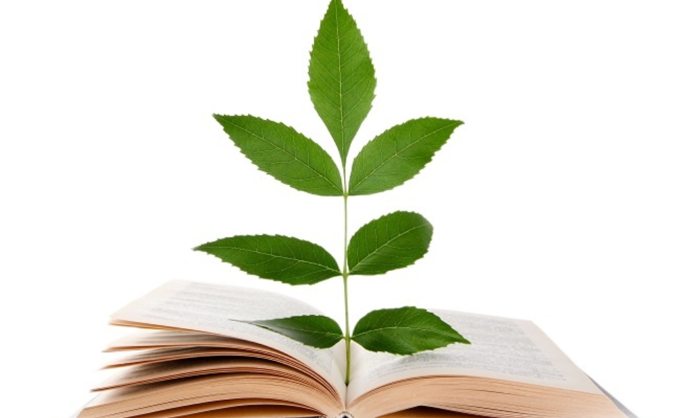 Environmental Education and Sustainability