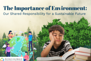 The Importance of Environment: Our Shared Responsibility for a Sustainable Future