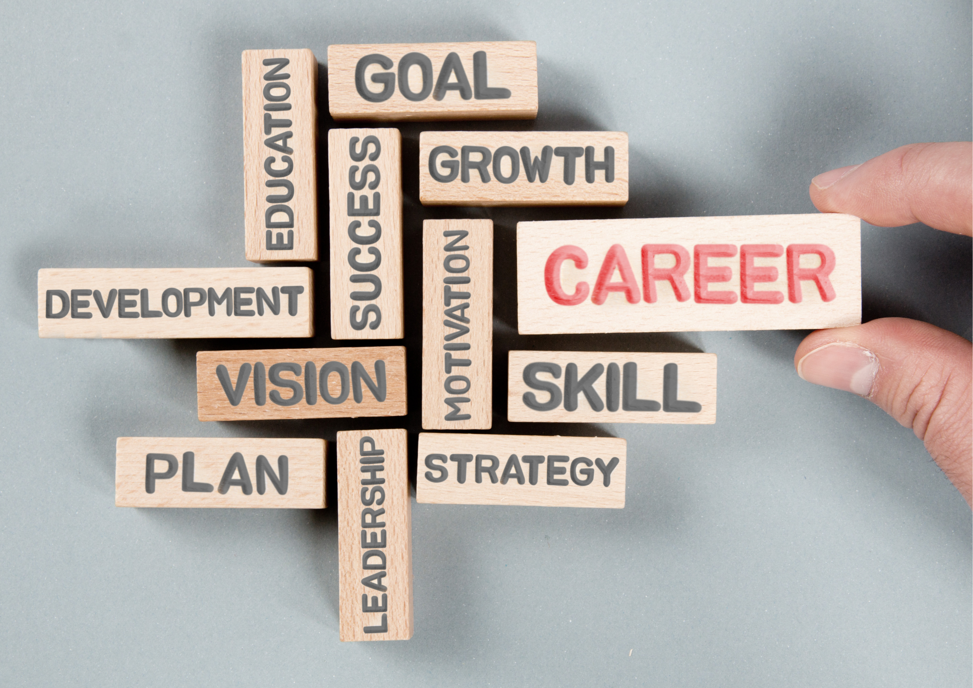 The Importance of Career Counselling