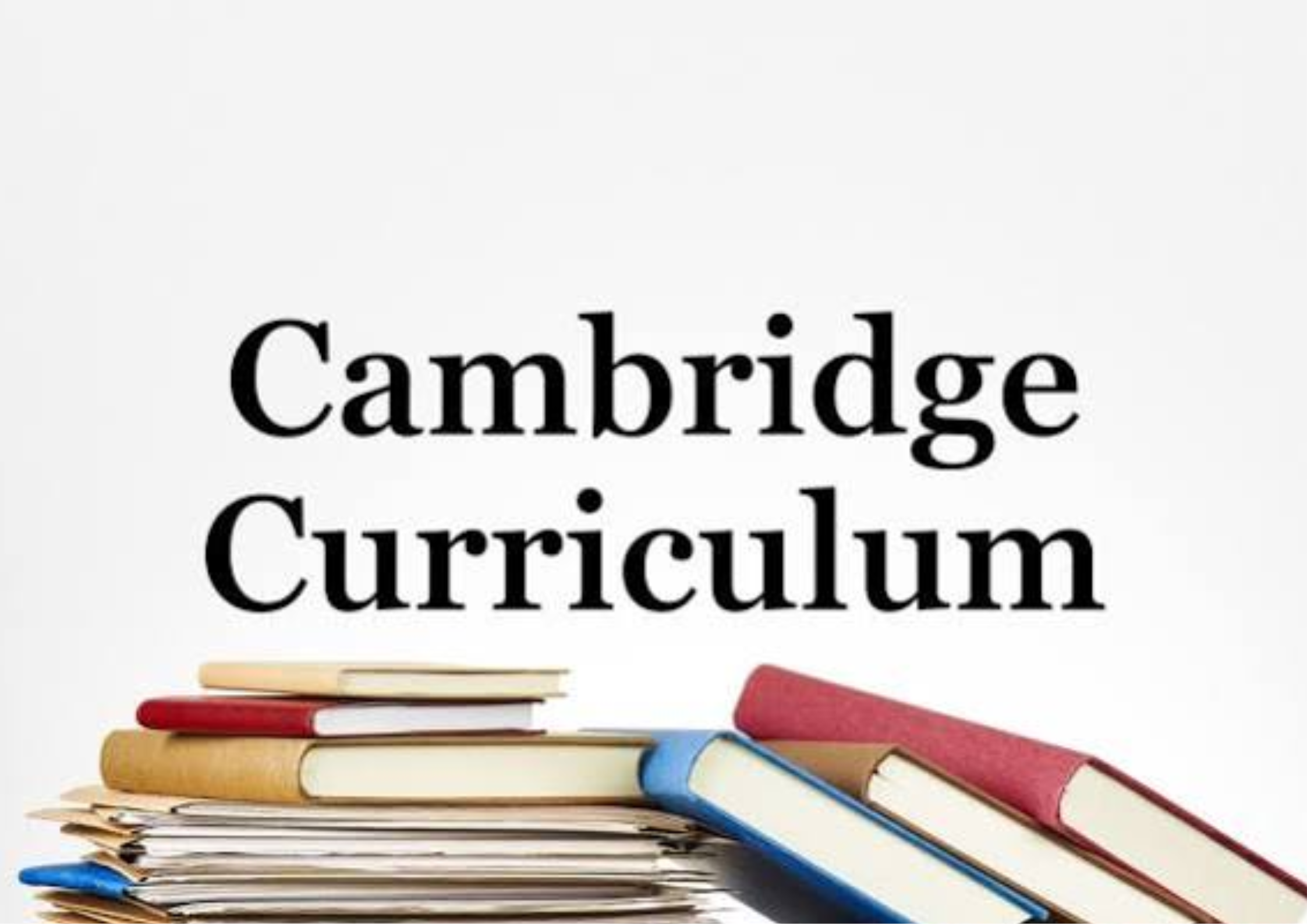Best Curriculum for NRI Students in India