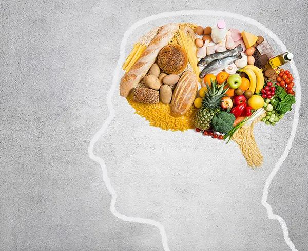 Connection between nutrition and brain function in students