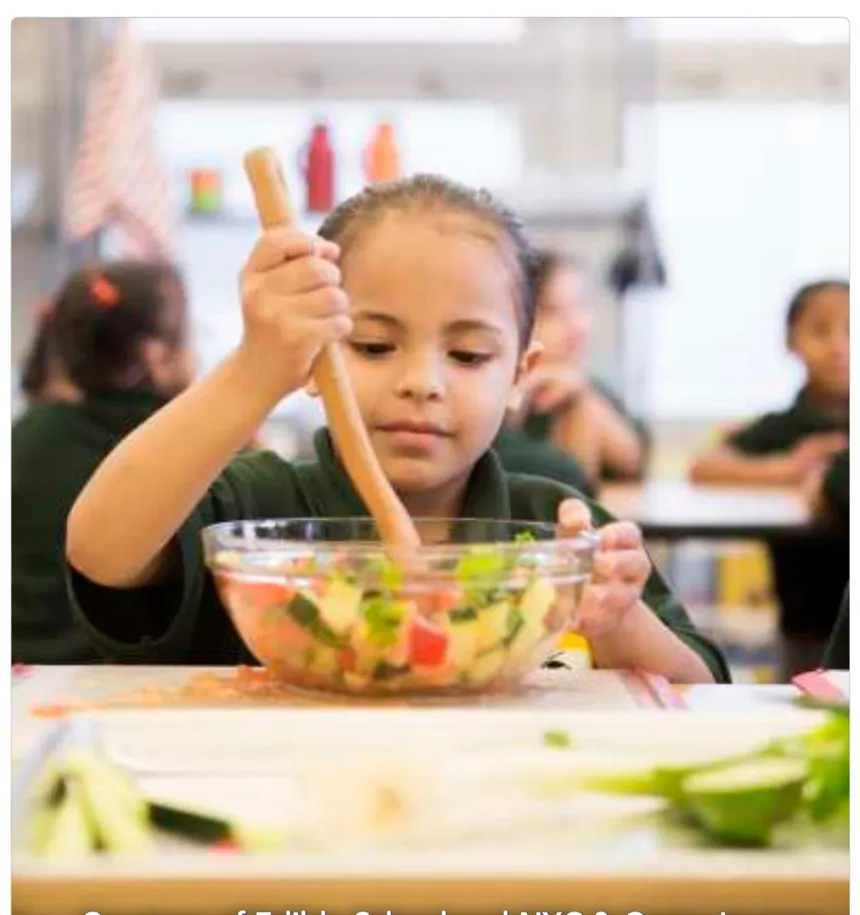 Supporting academic excellence through nutrition