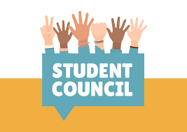 What are student councils and how do they support student leadership