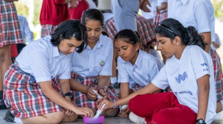 Play with Natural Colours