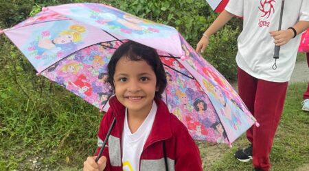 A Stroll Through Nature’s Embrace